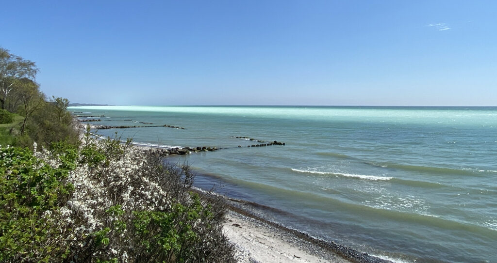 Billede af en strand på Møn, Danmark