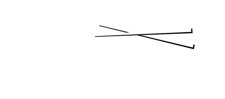 Sticks n sushi logo hvid